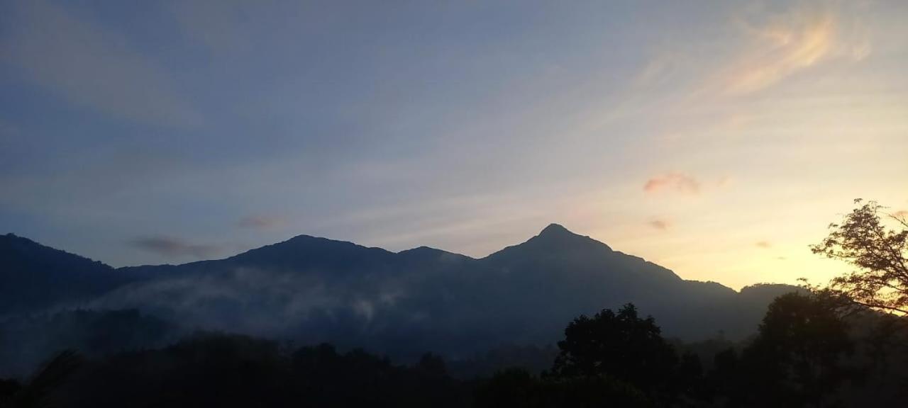 Green Magic Riverside Resort Munnar Εξωτερικό φωτογραφία