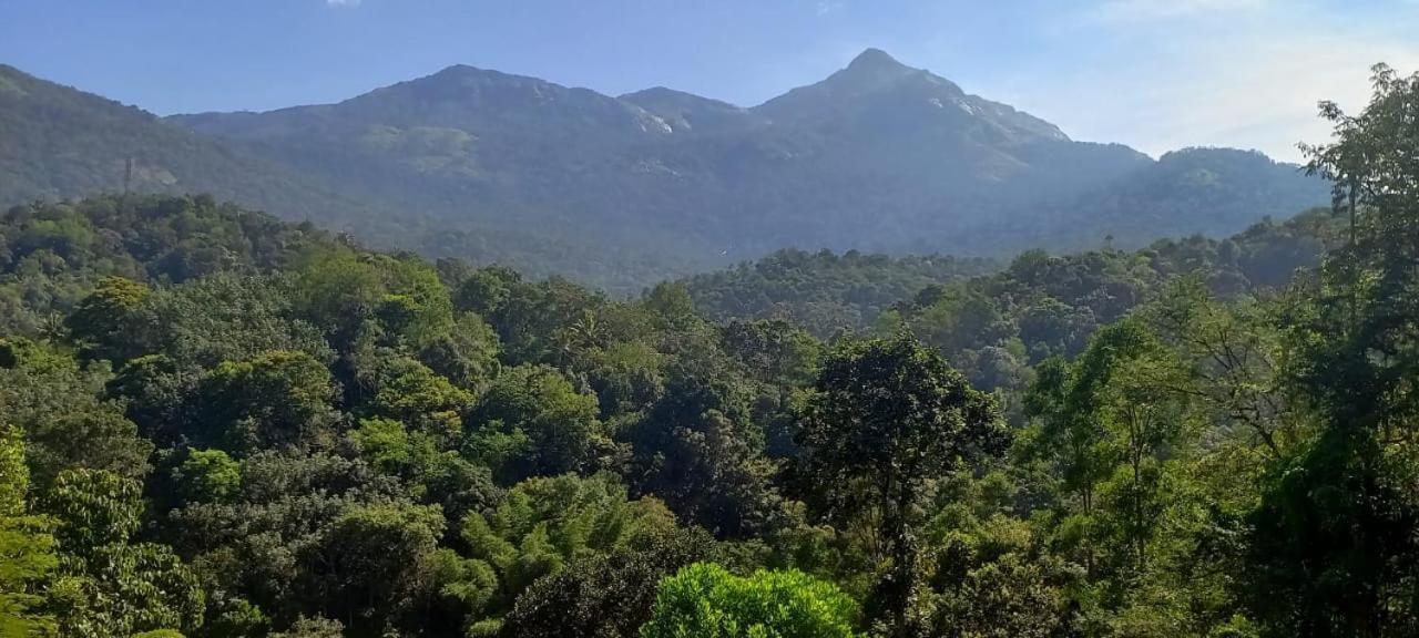 Green Magic Riverside Resort Munnar Εξωτερικό φωτογραφία