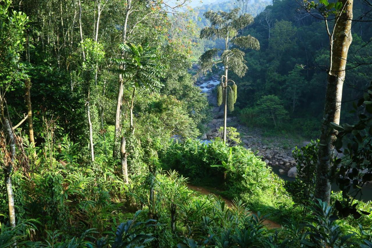 Green Magic Riverside Resort Munnar Εξωτερικό φωτογραφία